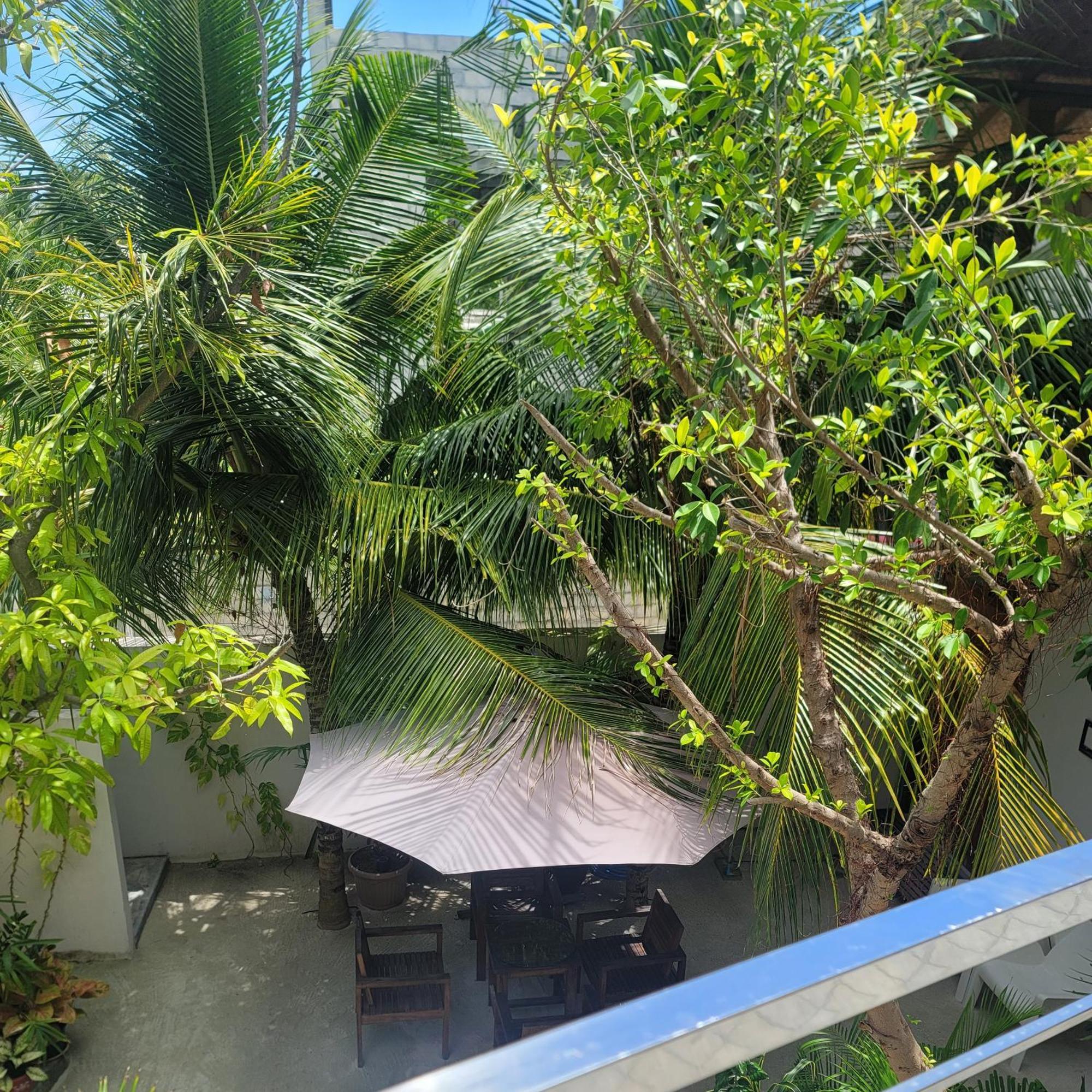 Palm Residence Rasdhoo Zimmer foto